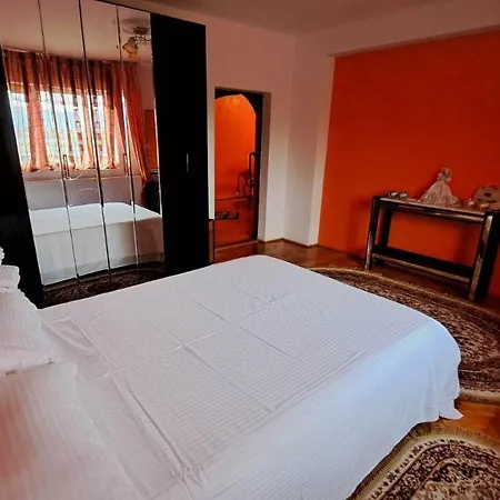 Pensiunea Burciu * Salcioara (Dobruja)