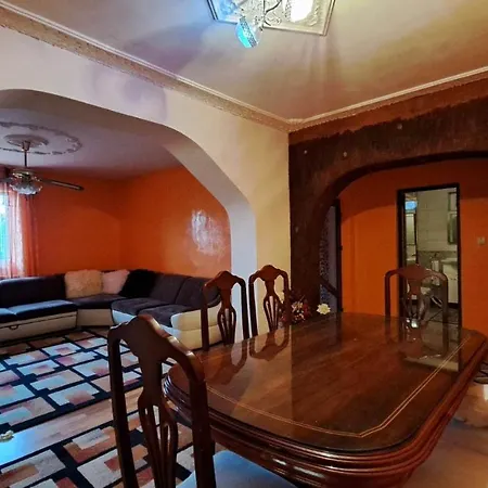 Pensiunea Burciu Pensión *