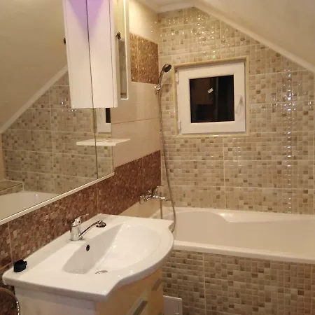 Pensión Pensiunea Burciu