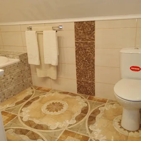 Pensión Pensiunea Burciu *