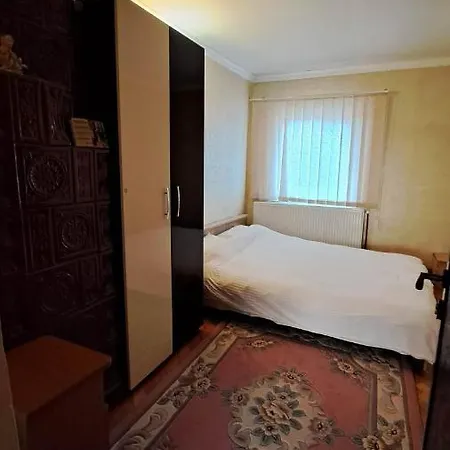 게스트하우스 Pensiunea Burciu