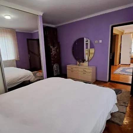 게스트하우스 Pensiunea Burciu