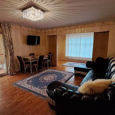 게스트하우스 Pensiunea Burciu