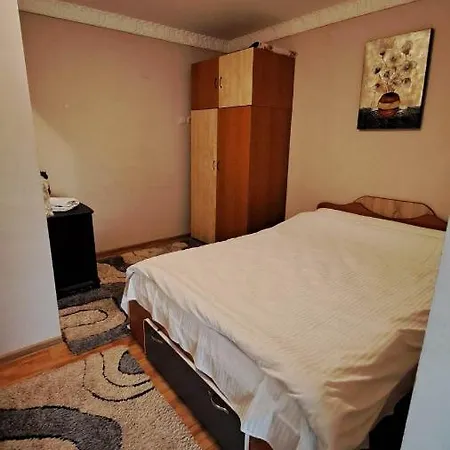 게스트하우스 Pensiunea Burciu *