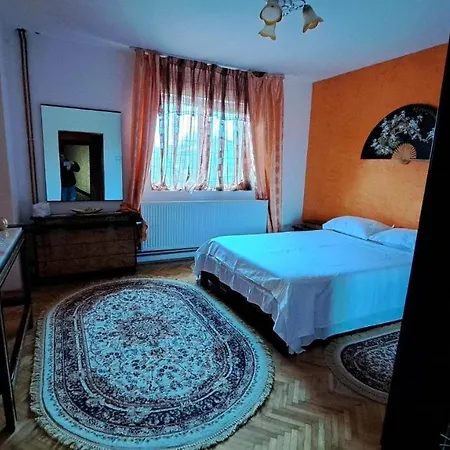 Pensiunea Burciu Salcioara (Dobruja)