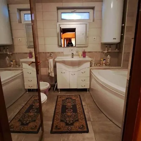 Pensiunea Burciu 게스트하우스