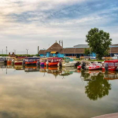 게스트하우스 Pensiunea Burciu