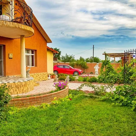 게스트하우스 Pensiunea Burciu