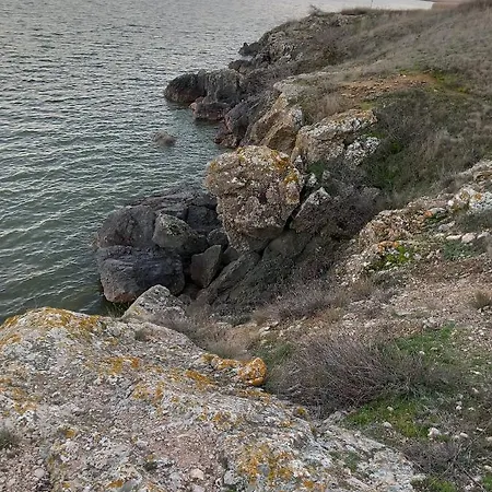 Pensiunea Burciu 게스트하우스 *