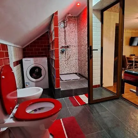 Pensiunea Burciu 게스트하우스 *