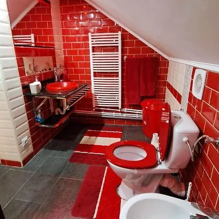 Pensiunea Burciu * Salcioara (Dobruja)