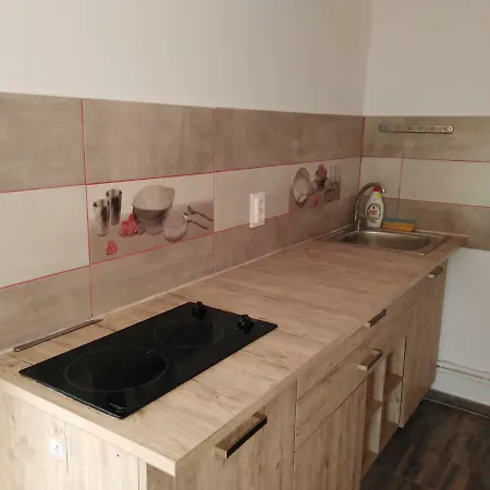 게스트하우스 Pensiunea Burciu Salcioara (Dobruja)